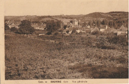 SALVIAC   Vue Générale - Salviac