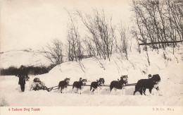 Canada A Yukon Dog Team - Yukon