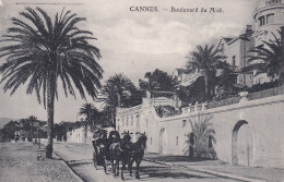 CANNES - Cannes