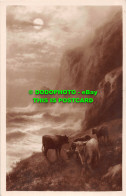 R548033 Cattle. Cliffs. Bay. Sea. Chic Series. Charles Worcester - Monde