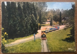 CP LANNEMEZAN 65 Hôpital Psychiatrique, Le Petit Train - Lannemezan