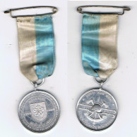 Médaille Jeton POMPIERS HAGUENAU 1899 Avec Son Ruban Et Son épingle D’origine - Pompiers