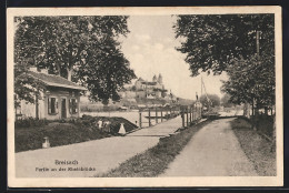 AK Breisach, Partie An Der Rheinbrücke  - Breisach