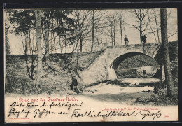 AK Dresden, Küchenbrücke Im Priessnitzgrund  - Dresden