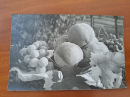 Historic Photo Hungary - Fruits - Objets