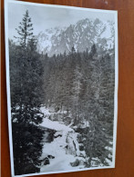 Historic Photo Poland - Mountain, Tatry - Europa