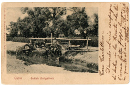 4.1.17 EGYPT, CAIRO, SAKIAH (IRRIGATION), 1902, POSTCARD - Caïro