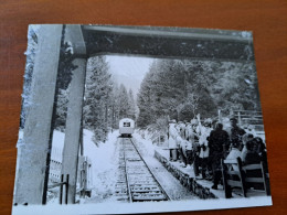 Historic Photo Poland - Tatry, Train, Railway - Europe