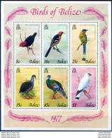 Fauna. Uccelli 1977. - Belize (1973-...)