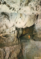 - 26 - SAINT-AGNAN-en-VERCORS 5rôme) - GROTTE DE LA LUIRE - Scan Verso - - Sonstige & Ohne Zuordnung