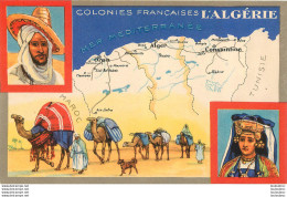 ALGERIE COLONIE FRANCAISE PUBLICITE PRODUITS DU LION NOIR - Andere & Zonder Classificatie