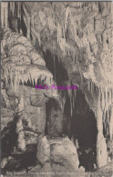 New Zealand Postcard - Ruakurl Caves, Waitomo  DZ264 - Nueva Zelanda