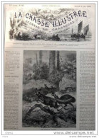 Tasmanischer Tiger - Känguruh - Emu - Page Original 1880 - Estampes & Gravures