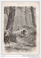 Reh Jagd - Chevreuil  - Alter Stich 1880 - Gravure Er. Bellecroix - Estampes & Gravures