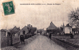 45 - Loiret - DAMMARIE Sur LOING - Route De Rogny - Other & Unclassified