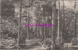 Scotland Postcard - The Woodlands, Dullatur   DZ265 - Lanarkshire / Glasgow