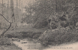 VALLEE DE CHEVREUSE LA RIVIERE DES VAUX DE CERNAY - Chevreuse