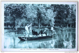 Cpa Ak Pk 79 Marais Poitevin La Venise Verte Vue Peu Courante Transport De Bétail - Autres & Non Classés