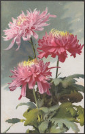 Rosa Chrysanthemen, C.1910 - Nenke & Ostermaier AK - Blumen
