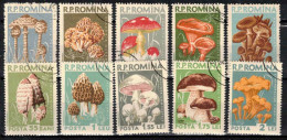 Roumanie 1958 Mi 1721-30 (Yv 1580-9), Obliteré - Paddestoelen