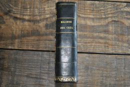 Wharton-Jones TRAITÉ PRATIQUE DES MALADIES DES YEUX Editions Chamerot 1862 + Planches Couleurs Médecine Chirurigie XIXè - 1801-1900