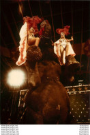 GRANDE PHOTO ORIGINALE CIRQUE AMERICANO AMERICAN CIRCUS FAMILLE TOGNI FORMAT  24 X 18 CM REF A - Cirque