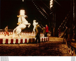 GRANDE PHOTO ORIGINALE CIRQUE AMERICANO AMERICAN CIRCUS FAMILLE TOGNI FORMAT  24 X 18 CM - Circus