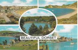 SCENES FROM DORSET, ENGLAND. USED POSTCARD   Ms6 - Andere & Zonder Classificatie