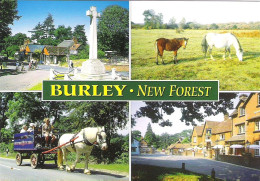 SCENES FROM BURLEY, HAMPSHIRE, ENGLAND. UNUSED POSTCARD Ms6 - Otros & Sin Clasificación