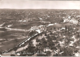 CISTERNINO (Brindisi) La Pineta E Valle D'Idria En 1959 - Brindisi