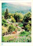 Carpathian Mountains - Karpaty - In The Valley - 1962 - Ukraine USSR - Unused - Ukraine