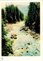 Carpathian Mountains - Karpaty - The Prut River - 1962 - Ukraine USSR - Unused - Ukraine