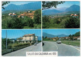 SALUTI DA CALDANA - COQUIO TREVISAGO - VARESE - VEDUTE - Varese