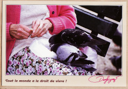 24169 /⭐ ◉  PARIS VII CHAMPS De MARS Pigeons Domestiques Tout Le Monde Droit Vivre Photo Denis SEIGNEZ 1999- CPC CP-065 - Paris (07)