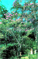 Nikitsky Botanical Garden - Corner In The Lower Park - Crimea - 1974 - Ukraine USSR - Unused - Ukraine