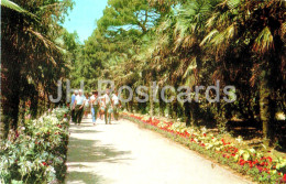 Nikitsky Botanical Garden - Palm Alley In The Lower Park - Crimea - 1974 - Ukraine USSR - Unused - Ukraine