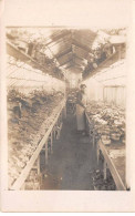 Métier - N°90767 - Homme S'occupant De Fleurs Dans Une Serre - Carte Photo - Paysans