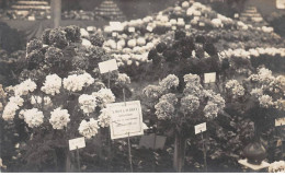 78 - N°90565 - CROISSY-SUR-SEINE - Rue De Saint-Germain - Idot & Durieux, Horticulteurs - Carte Photo - Croissy-sur-Seine