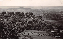 51. San67974. Epernay. Vue Panoramique. N°51.230.17. Edition La Cigogne. Cpsm 9X14 - Epernay