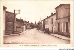 CAR-AAAP2-16-0088 - SALLES D'ANGLES - Route De Saint-fort-sur-né - Other & Unclassified