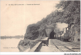 CAR-AAAP5-44-0343 - LE CELIER - Tunnel De Clermont - Train - Le Cellier