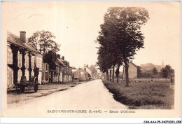 CAR-AAAP5-41-0334 - SAINT DYE SUR LOIRE - Route D'Orleans - Blois