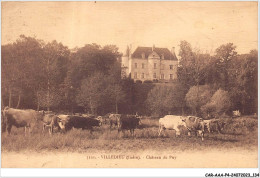 CAR-AAAP4-36-0299 - VILLEDIEU - Château Du Puy - Agriculture - Andere & Zonder Classificatie