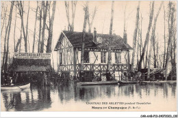 CAR-AABP13-95-1052 - Château Des ABLETTES Pendant L'inondation - MOURS Par CHAMPAGNE - Champagne Sur Oise
