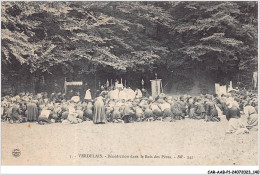 CAR-AABP1-33-0071 - VERDELAIS - Benediction Dans Les Bois Des Pères - Verdelais