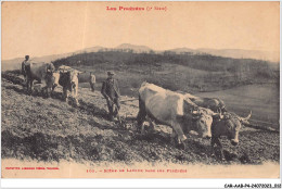 CAR-AABP4-66-0255 - Scene De Labour Dans Les Pyrenees - Agriculture - Other & Unclassified