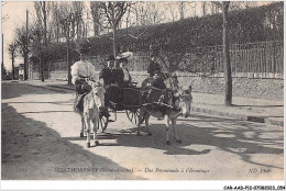 CAR-AADP12-95-1030 - MONTMORENCY - Une Promenade De L'ermitage - Anes - Montmorency