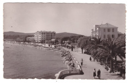 LE LAVANDOU - La Plage Et La Promenade  (carte Photo Animée) - Le Lavandou