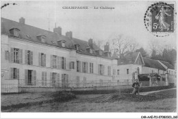 CAR-AAEP11-95-1112 - CHAMPAGNE - Le Chateau - Champagne Sur Oise
