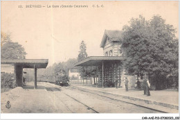 CAR-AAEP10-91-0991 - BIEVRES - La Gare - Train - Bievres